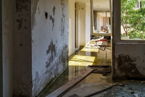 Cost of Water Removal Service in Broomfield
