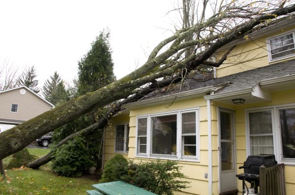 Hurricane Damage Repair in Broomfield